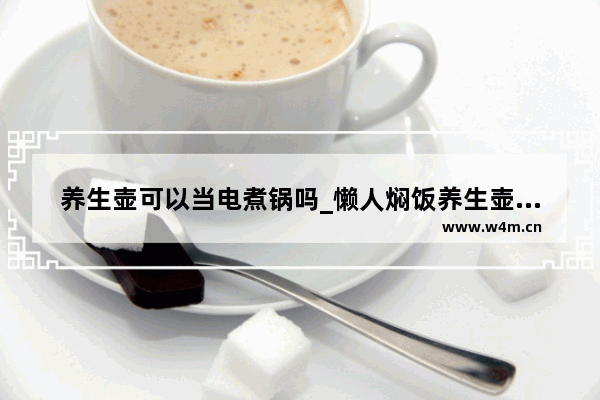 养生壶可以当电煮锅吗_懒人焖饭养生壶做法