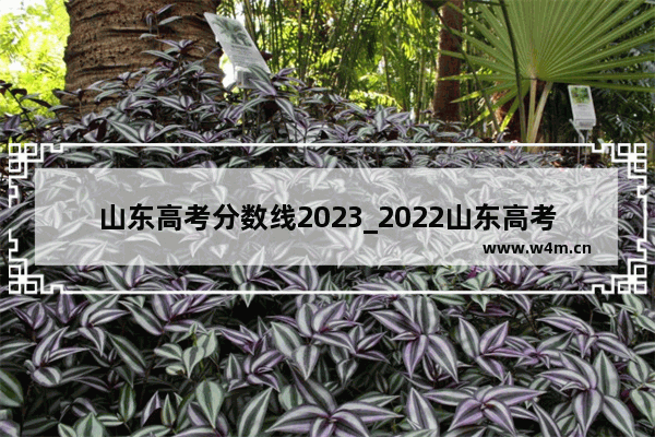 山东高考分数线2023_2022山东高考各高校录取分数线