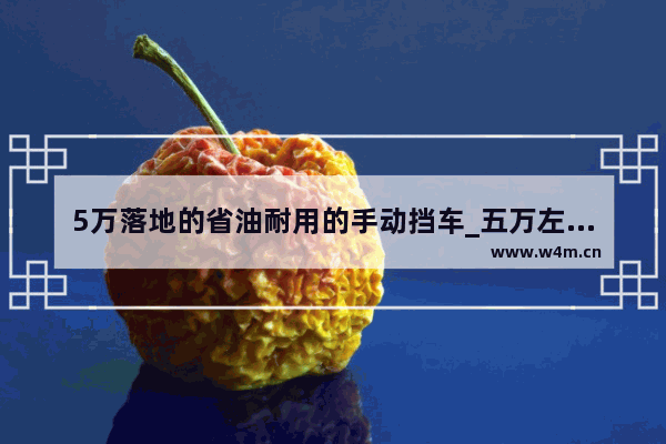 5万落地的省油耐用的手动挡车_五万左右的手动挡车新车排行榜