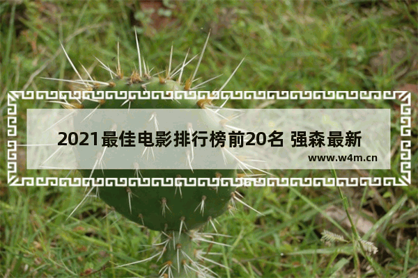 2021最佳电影排行榜前20名 强森最新电影豆瓣评分排名榜