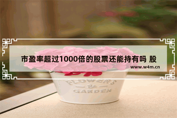 市盈率超过1000倍的股票还能持有吗 股票潜力排行榜前十名