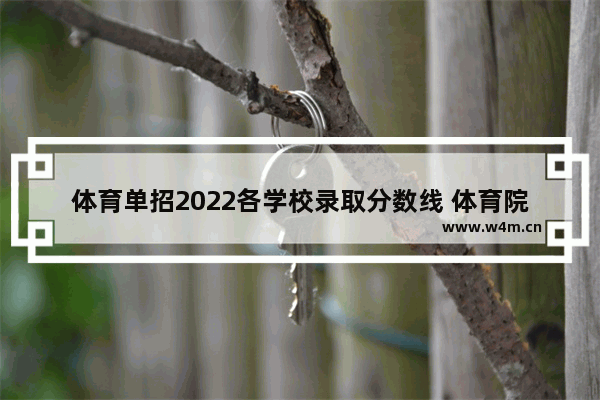 体育单招2022各学校录取分数线 体育院校排名高考分数线