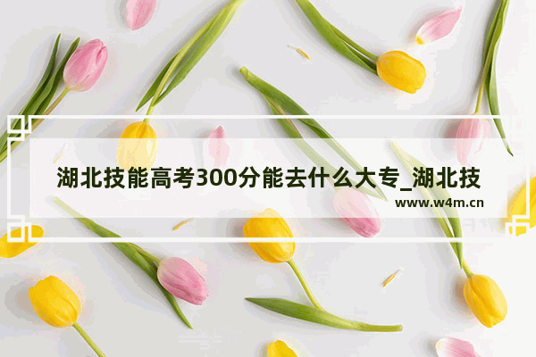 湖北技能高考300分能去什么大专_湖北技能高考350分能去什么大专