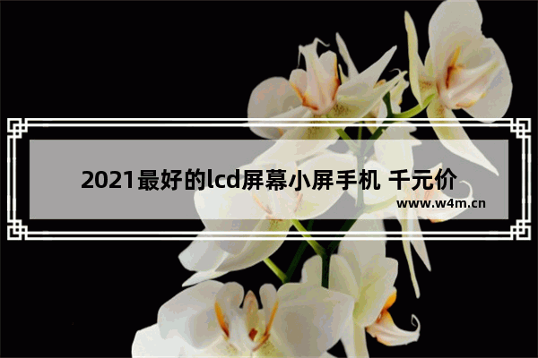 2021最好的lcd屏幕小屏手机 千元价位小屏手机推荐