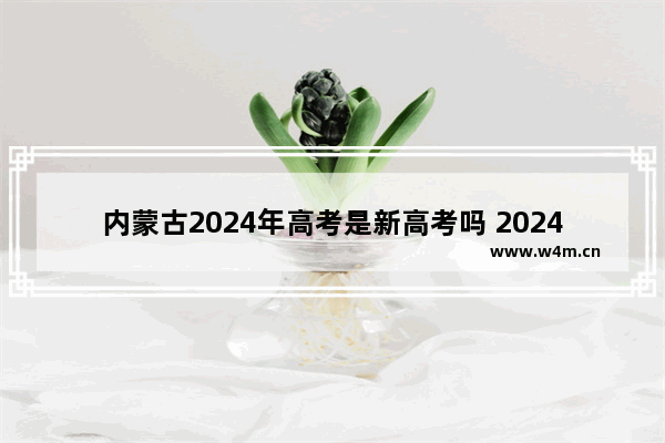 内蒙古2024年高考是新高考吗 2024内蒙古高考分数线