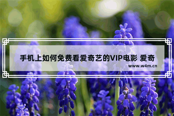 手机上如何免费看爱奇艺的VIP电影 爱奇艺vip能看最新电影吗手机