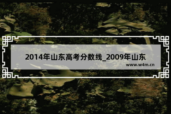 2014年山东高考分数线_2009年山东高考分数线