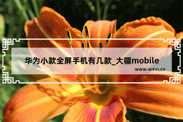 华为小款全屏手机有几款_大疆mobile6和se区别