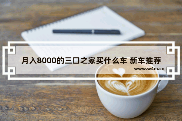 月入8000的三口之家买什么车 新车推荐2万到4万三口之家适合开什么车型好看点