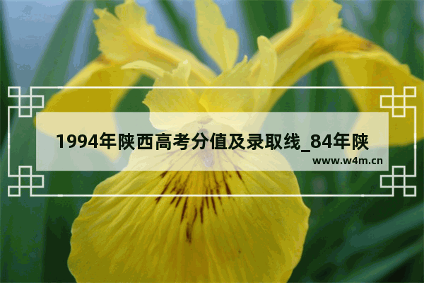 1994年陕西高考分值及录取线_84年陕西高考录取分数线