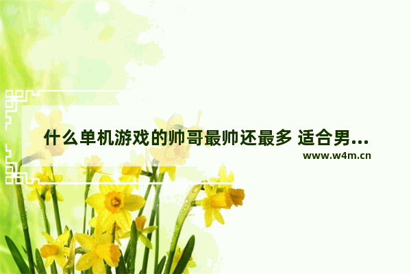 什么单机游戏的帅哥最帅还最多 适合男生单机游戏推荐手游