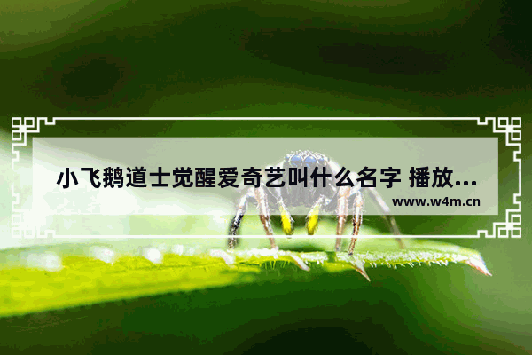 小飞鹅道士觉醒爱奇艺叫什么名字 播放爱奇艺最新电影叫什么来着呢