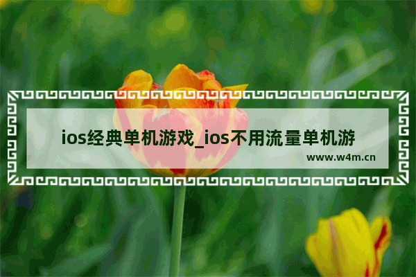 ios经典单机游戏_ios不用流量单机游戏