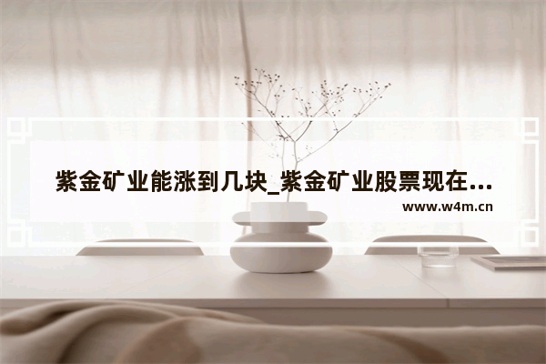 紫金矿业能涨到几块_紫金矿业股票现在可以买吗