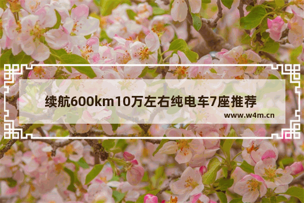 续航600km10万左右纯电车7座推荐 十万左右七座新车推荐哪款车好一点耐用