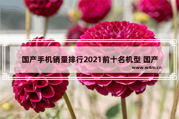 国产手机销量排行2021前十名机型 国产热门手机推荐