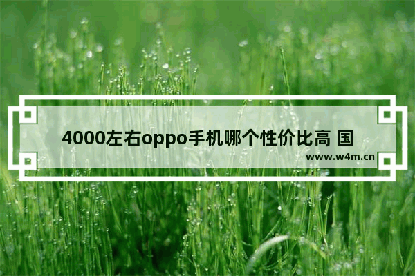 4000左右oppo手机哪个性价比高 国产四千元手机推荐哪款