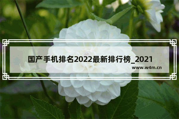 国产手机排名2022最新排行榜_2021国产手机排行榜前十名