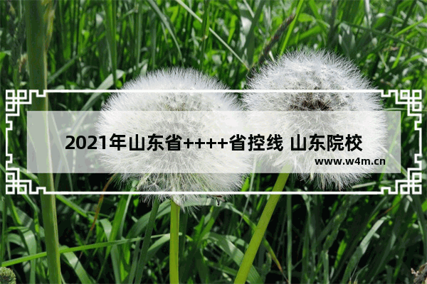 2021年山东省++++省控线 山东院校++++分数线