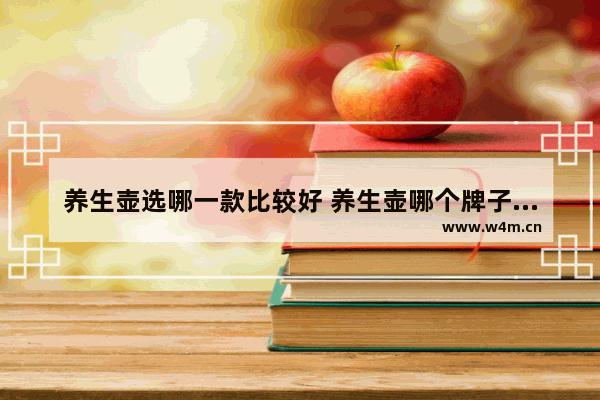 养生壶选哪一款比较好 养生壶哪个牌子好价格便宜