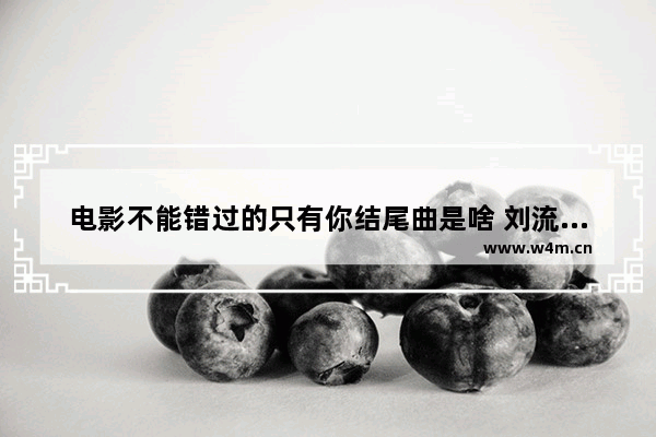 电影不能错过的只有你结尾曲是啥 刘流最新电影