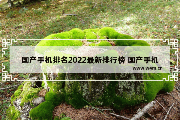 国产手机排名2022最新排行榜 国产手机推荐榜