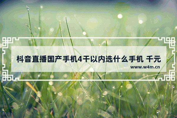 枓音直播国产手机4干以内选什么手机 千元国产手机推荐哪款好