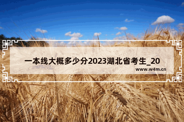 一本线大概多少分2023湖北省考生_2023湖北高考预计分数