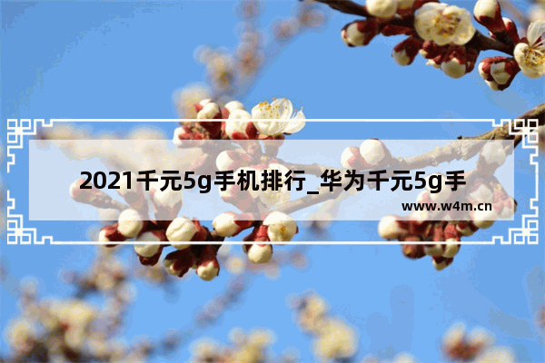 2021千元5g手机排行_华为千元5g手机性价比排行榜2021