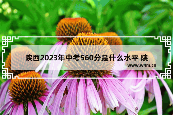 陕西2023年中考560分是什么水平 陕西高考分数线多少分上线