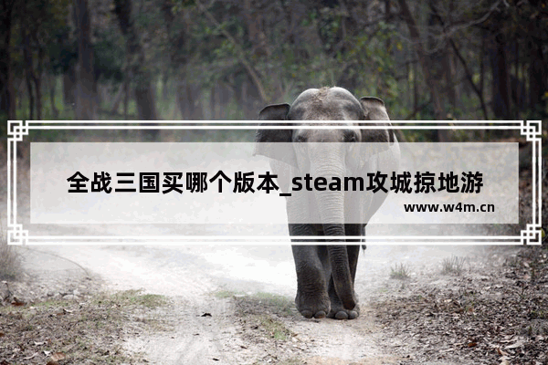 全战三国买哪个版本_steam攻城掠地游戏推荐