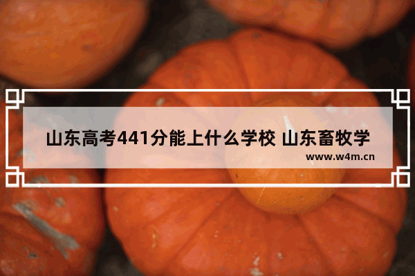 山东高考441分能上什么学校 山东畜牧学校高考分数线