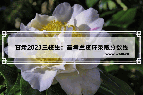 甘肃2023三校生：高考兰资环录取分数线 资源高考分数线排名榜