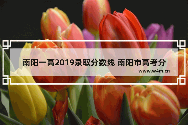 南阳一高2019录取分数线 南阳市高考分数线2019