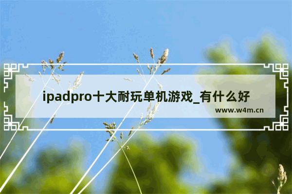 ipadpro十大耐玩单机游戏_有什么好玩的ipad大型单机游戏