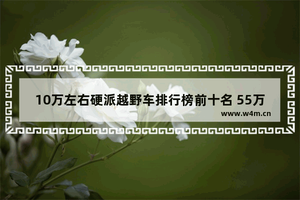 10万左右硬派越野车排行榜前十名 55万硬派越野新车推荐哪款车型