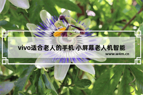 vivo适合老人的手机 小屏幕老人机智能手机推荐