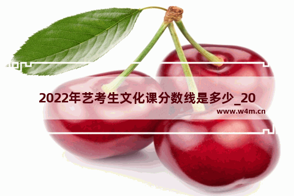 2022年艺考生文化课分数线是多少_2023多少分能上高碑店一中