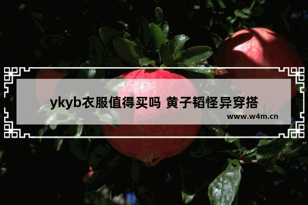 ykyb衣服值得买吗 黄子韬怪异穿搭