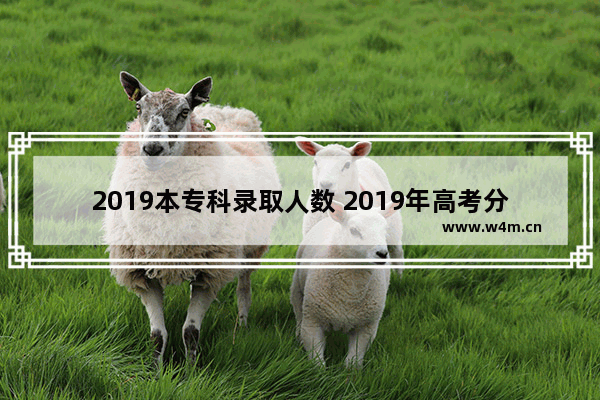 2019本专科录取人数 2019年高考分数线专科