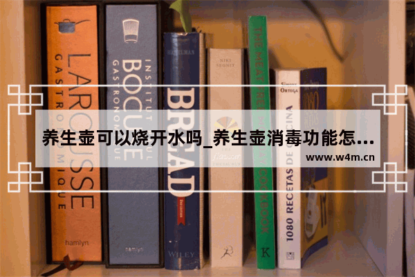 养生壶可以烧开水吗_养生壶消毒功能怎么用