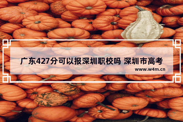 广东427分可以报深圳职校吗 深圳市高考分数线590