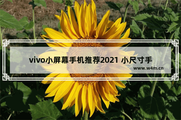 vivo小屏幕手机推荐2021 小尺寸手机推荐些什么比较好