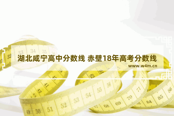 湖北咸宁高中分数线 赤壁18年高考分数线