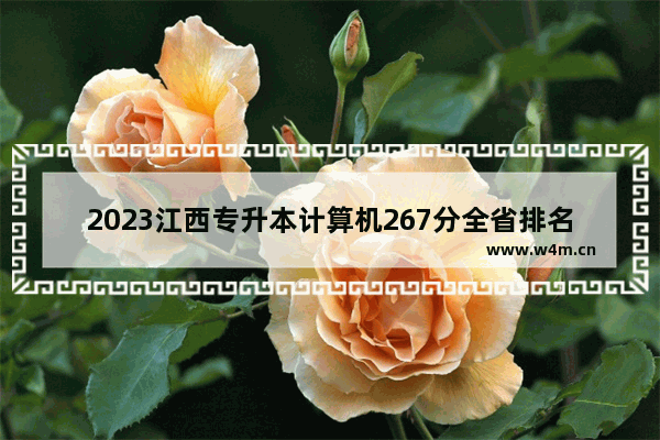 2023江西专升本计算机267分全省排名_2021江西省专升本省控线