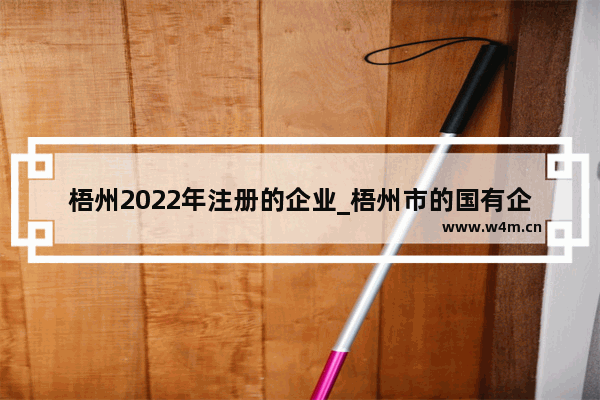 梧州2022年注册的企业_梧州市的国有企业有哪些