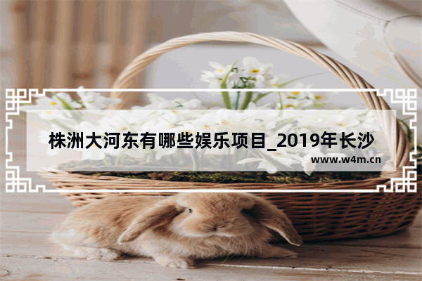 株洲大河东有哪些娱乐项目_2019年长沙电影票房