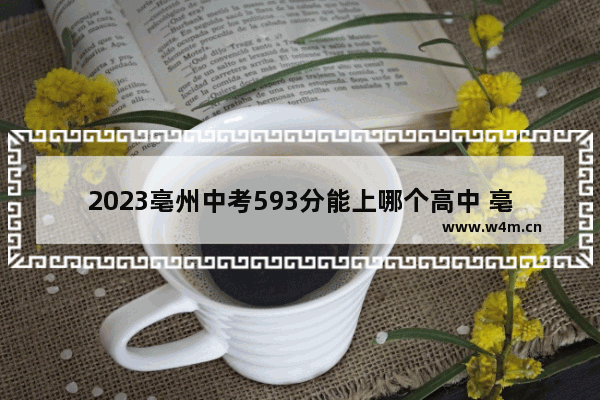 2023亳州中考593分能上哪个高中 亳州++高考分数线查询