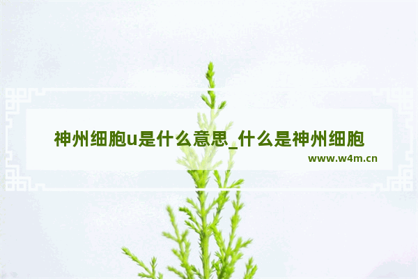 神州细胞u是什么意思_什么是神州细胞