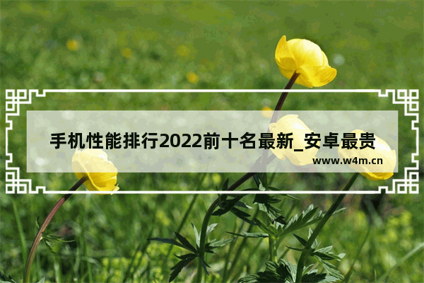 手机性能排行2022前十名最新_安卓最贵的手机排行榜